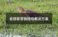 ��͠I(y��ng)�N���Ž�Q����